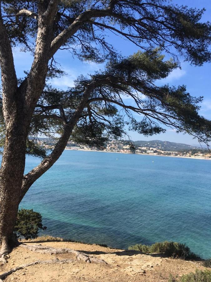 Les Galets De Sanary - Vue Mer Bagian luar foto